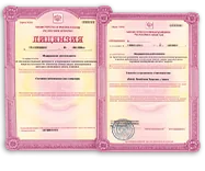Изображение бланка лицензии с печатью